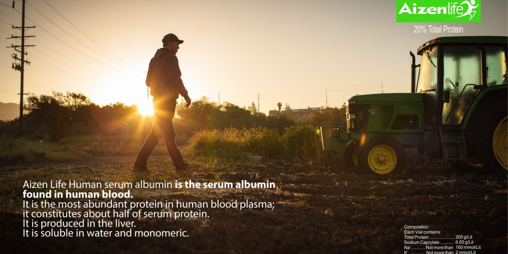 Human Albumin 20% Injection IP (Aizen Life) Taj Pharma India