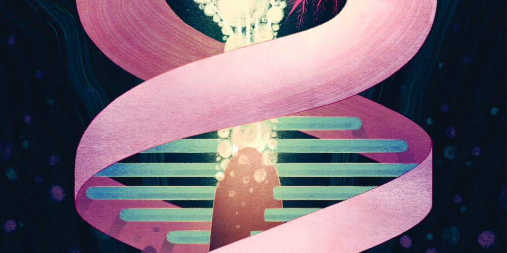 Meropenem Injection IP 500mg (Merokem) Taj Pharma