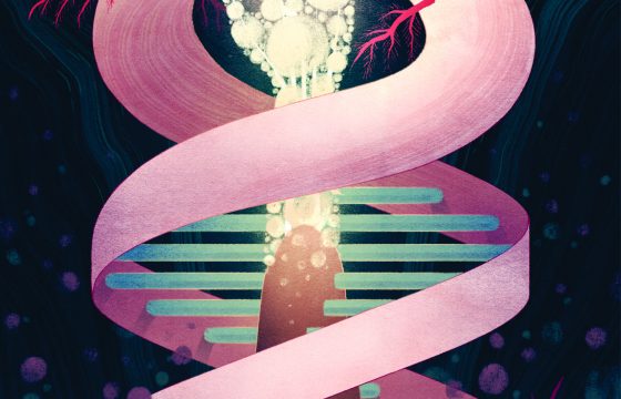 Meropenem Injection IP 500mg (Merokem) Taj Pharma